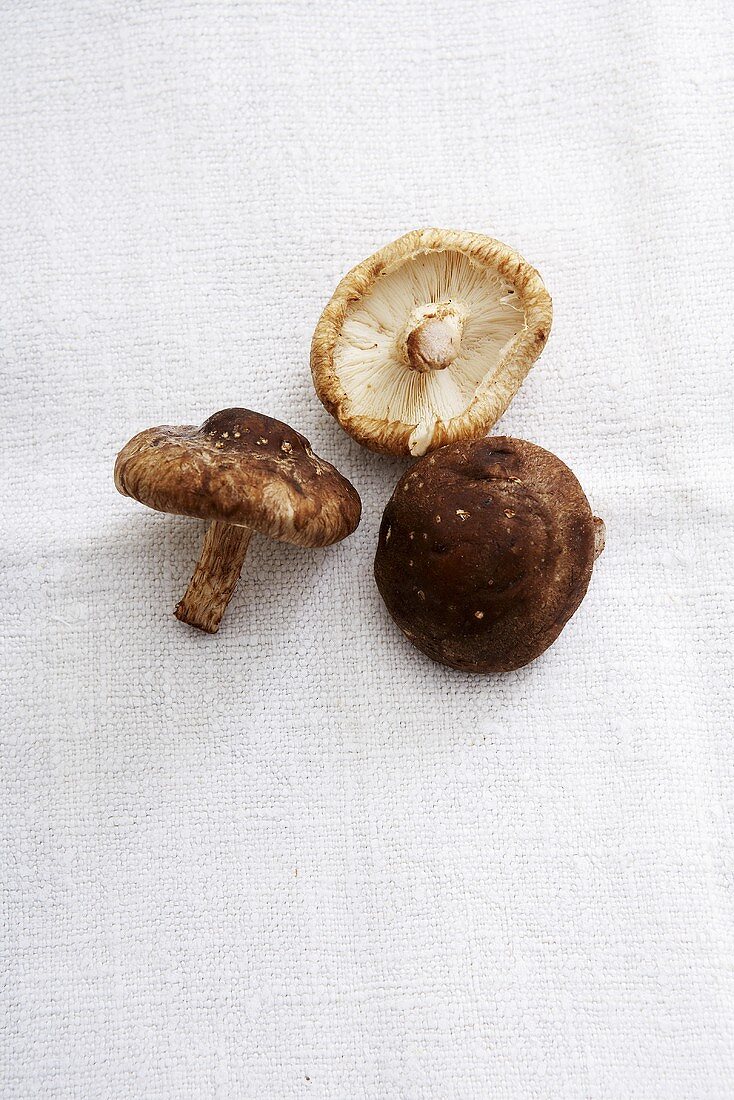 Shiitake mushrooms on white cloth