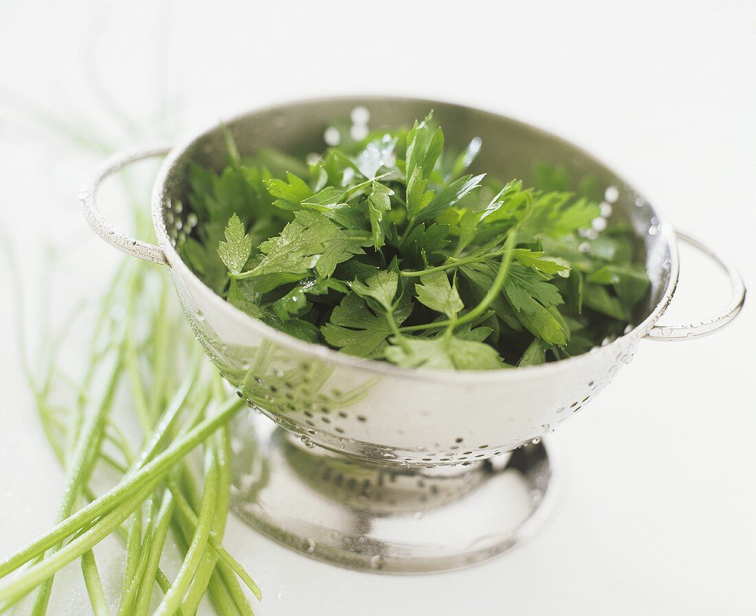 Fresh parsley in a colander