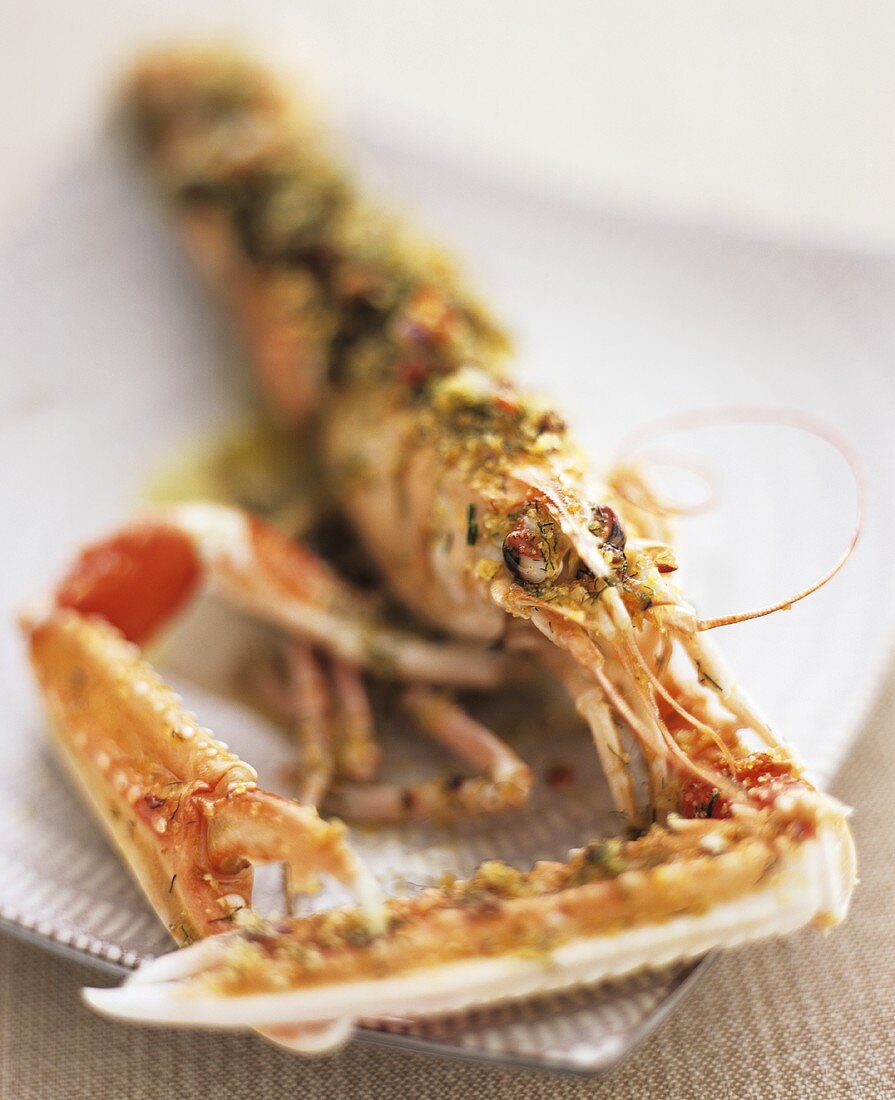 Norway lobster with herb and bread crust