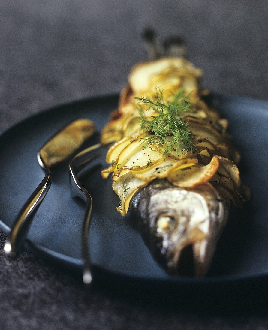 Seebarsch in Kartoffelkruste mit Fenchelgrün