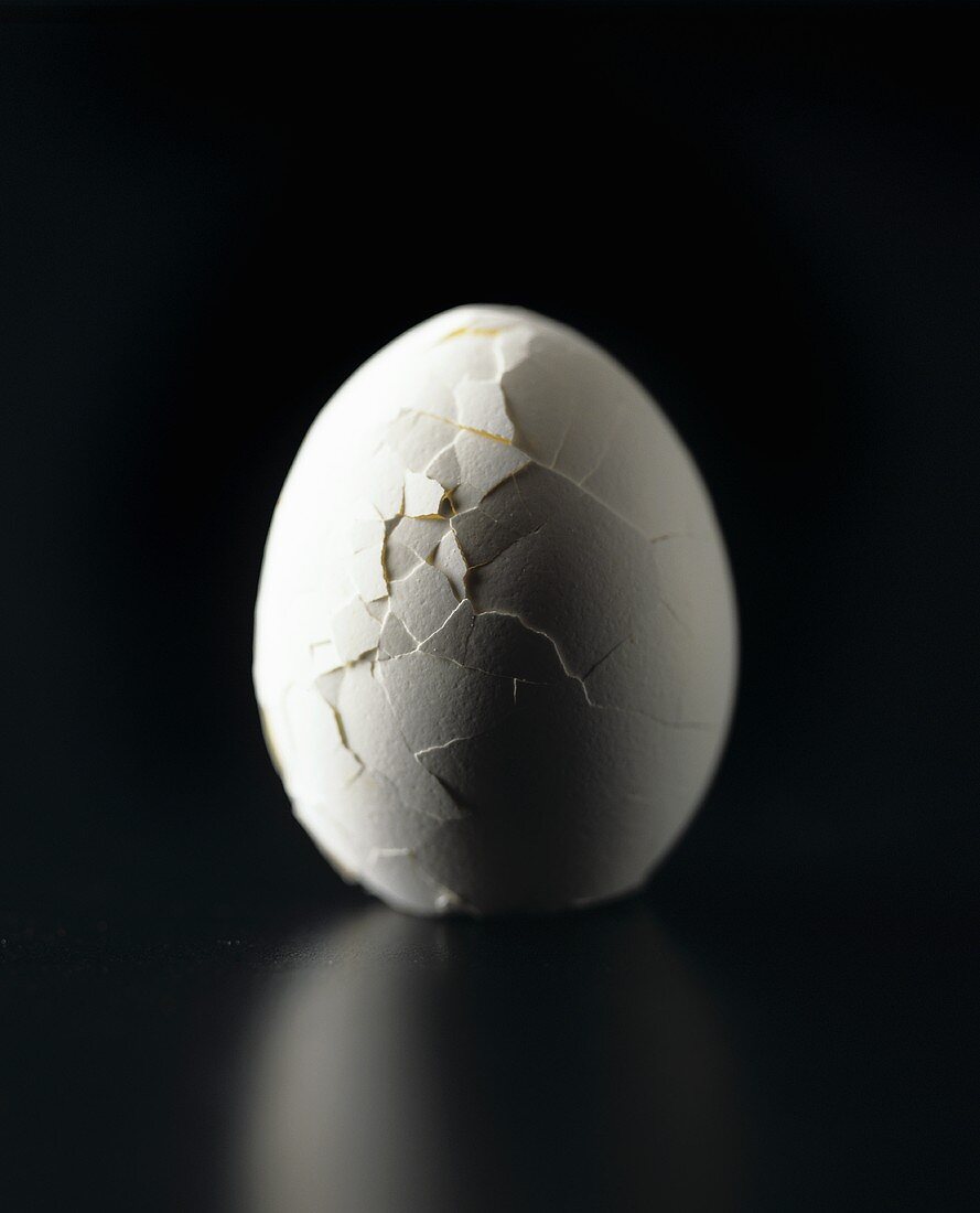 Ein Ei mit gebrochener Schale (s-w-Aufnahme)