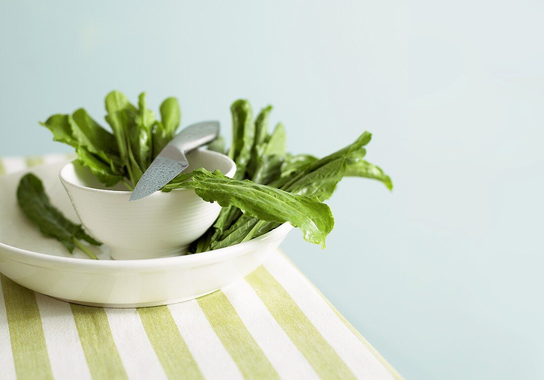 Sorrel in small bowl and on plate