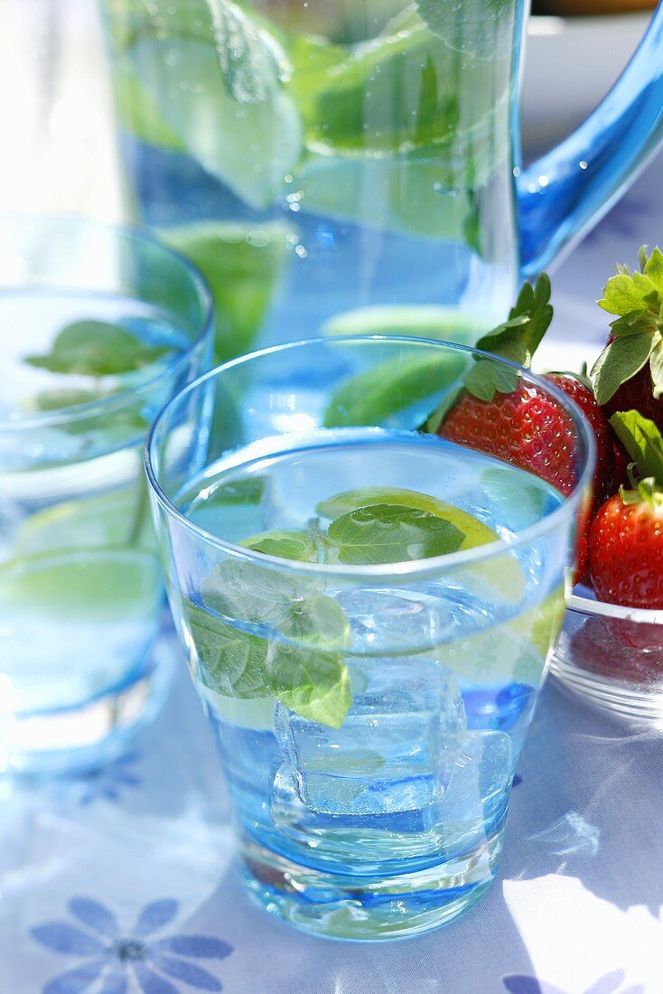 Mineral water with lemon wedges, mint and ice cubes