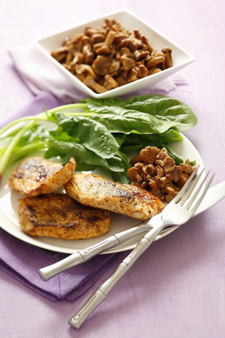 Fried chicken breast fillets with spinach and chanterelles