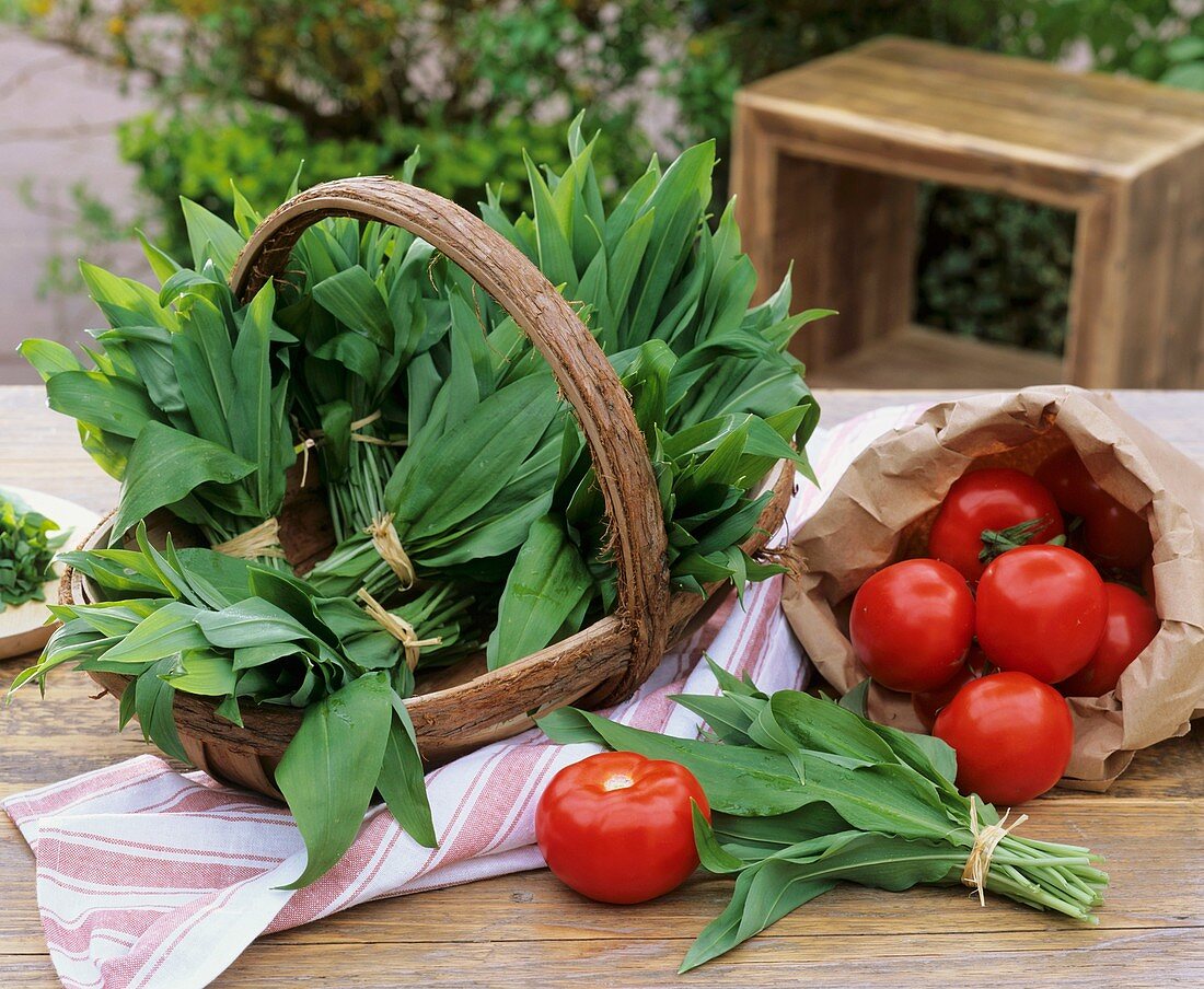 Freshly picked ramsons leaves (wild garlic) and tomatoes