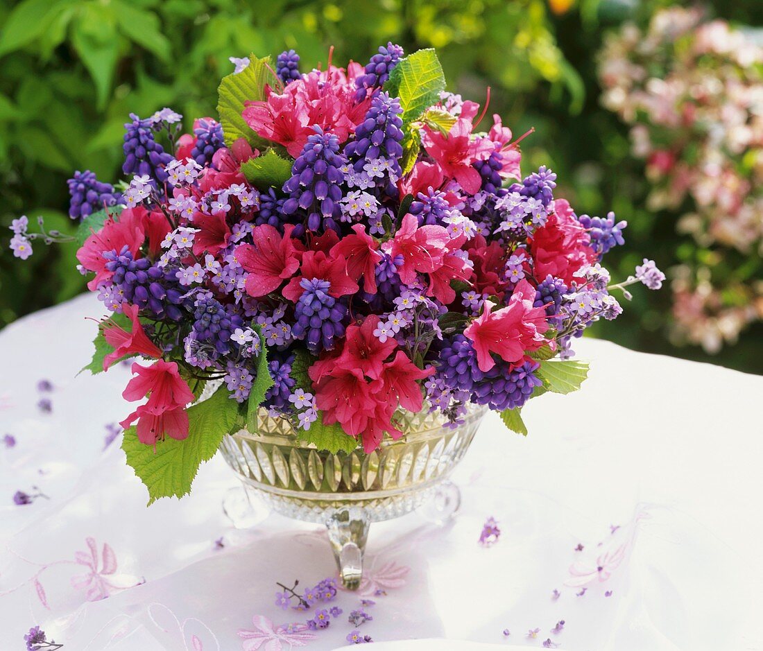 Spring arrangement of azaleas and grape hyacinths