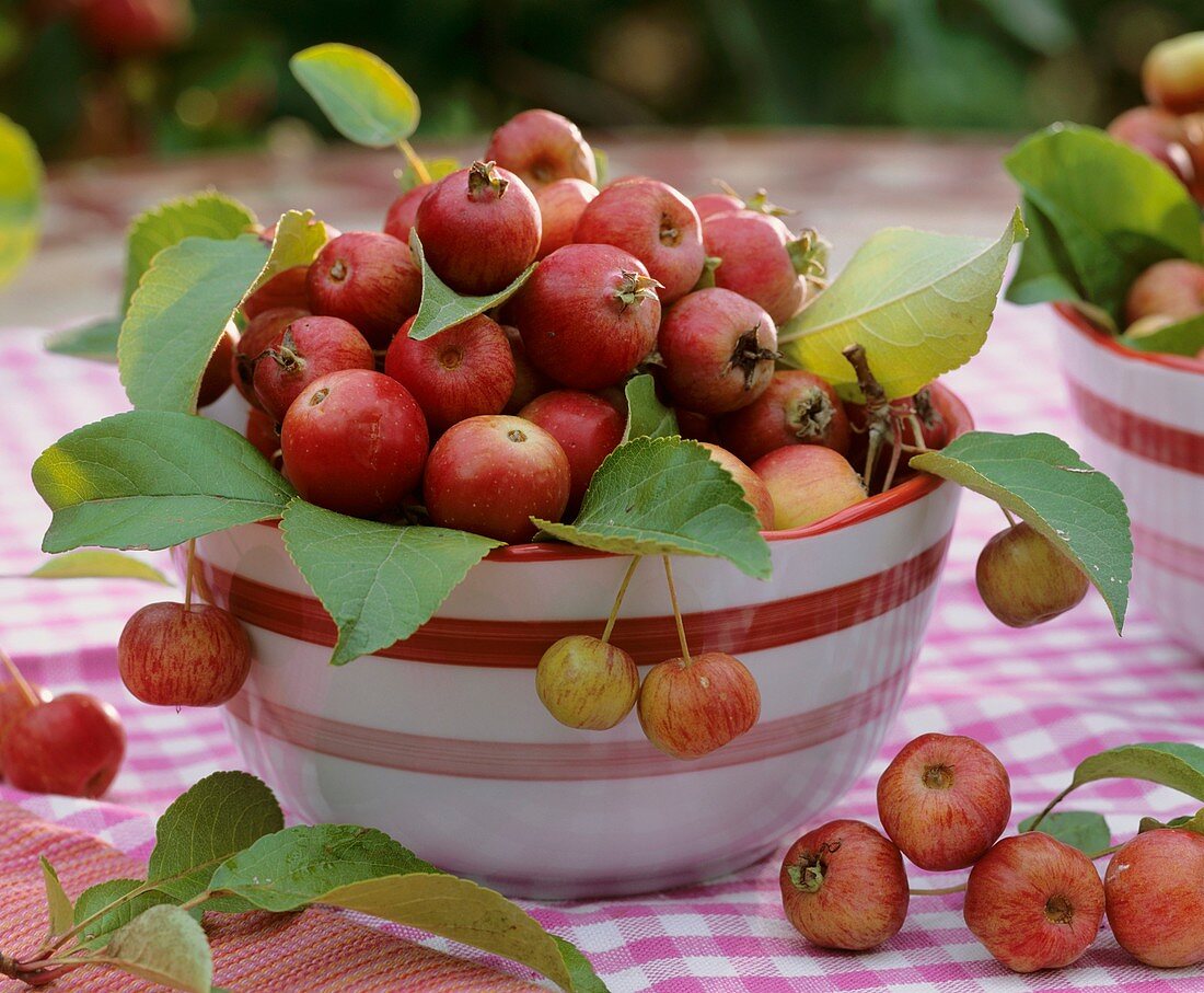 A bowl of crab-apples