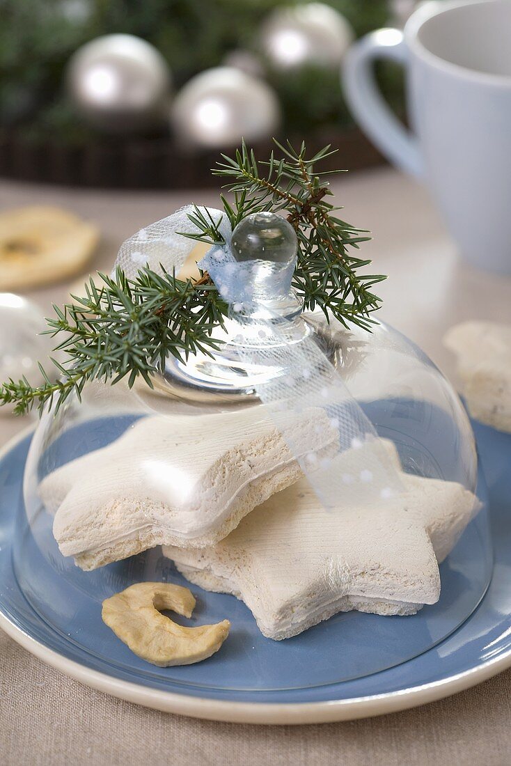 Aniseed biscuits under glass dome, juniper sprigs, apple slice