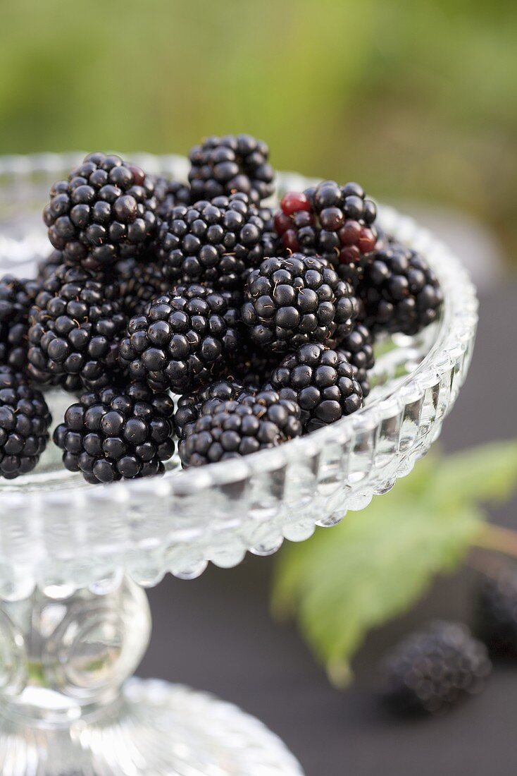 Blackberries on a crystal stand