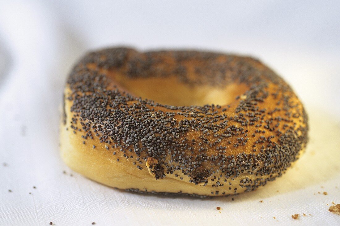 Poppy seed bagel, toasted