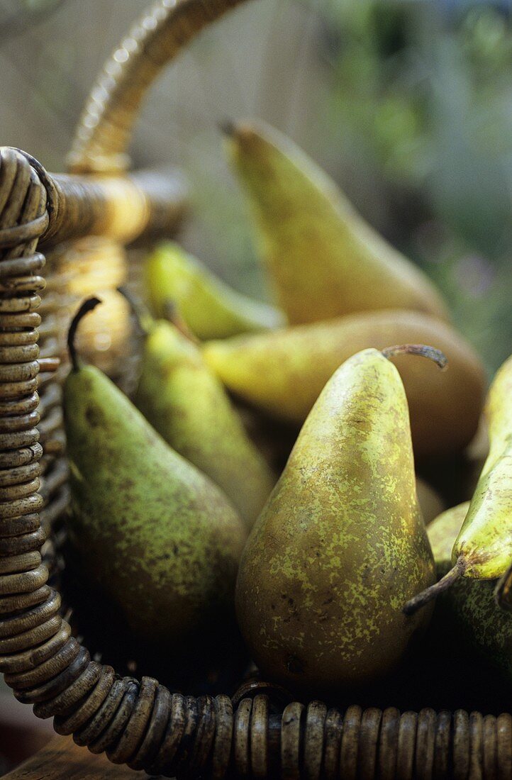 Pears in a basket