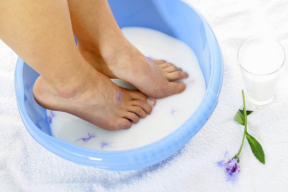 Someone bathing their feet in milk with cornflowers