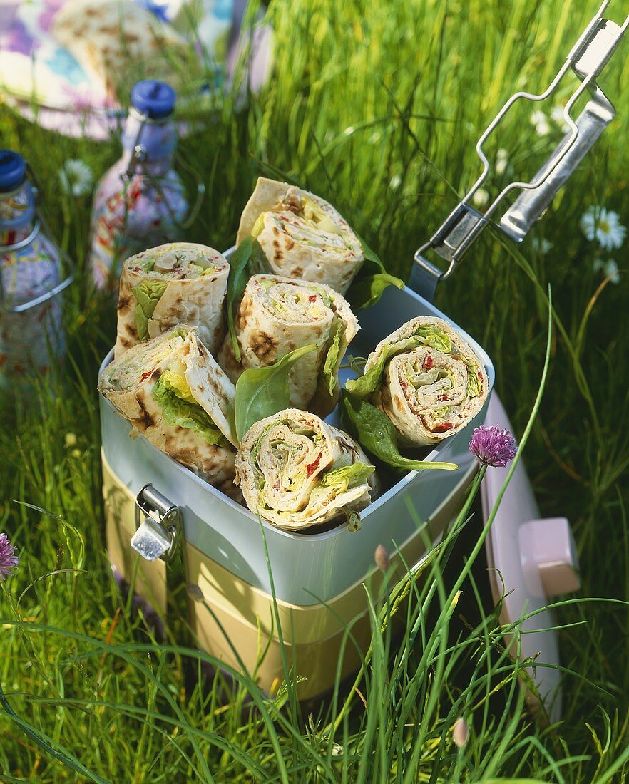 Wraps in a lunch box in grass