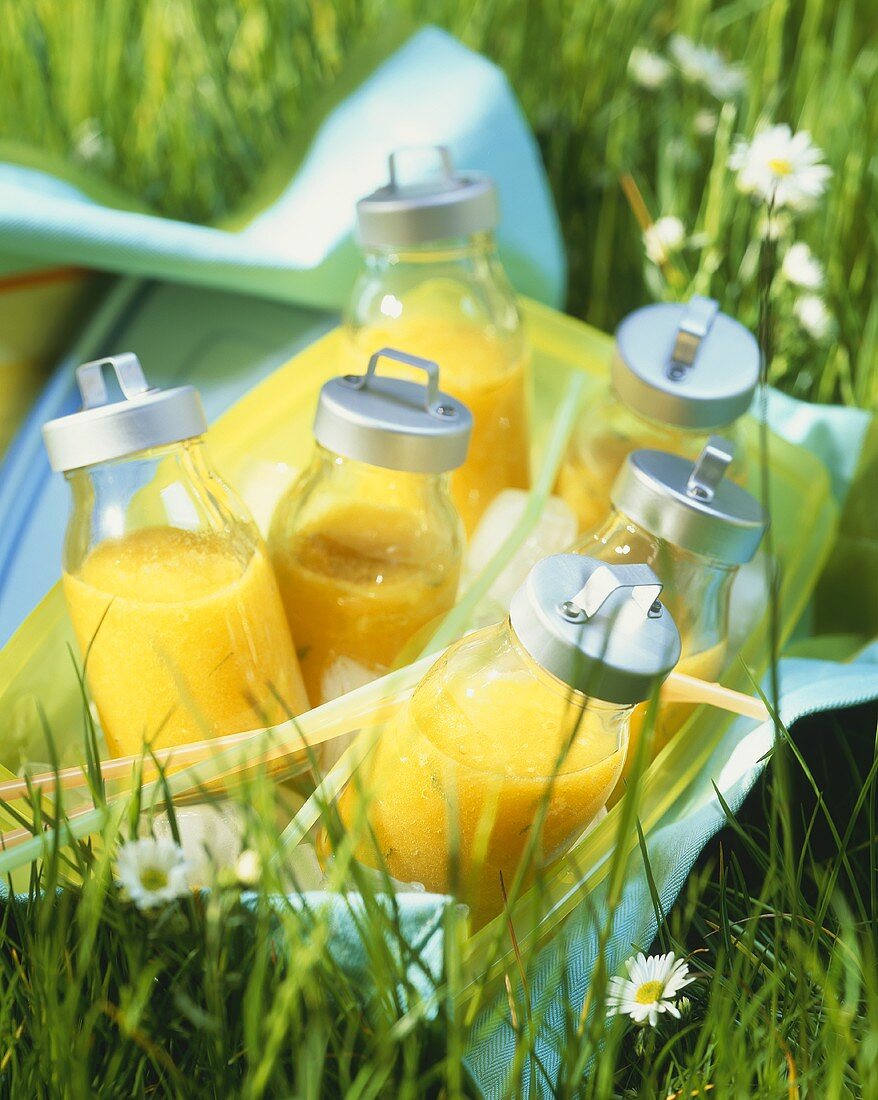 Orangensaft für das Picknick