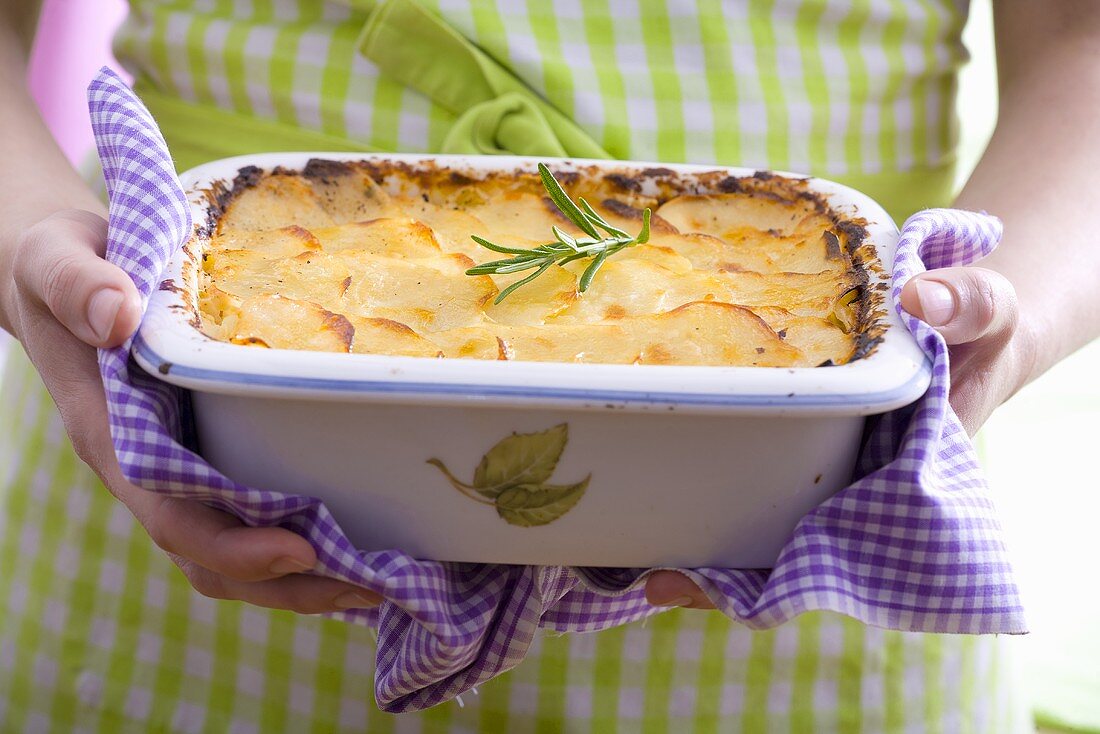 Hände halten Auflaufform mit Kartoffelgratin