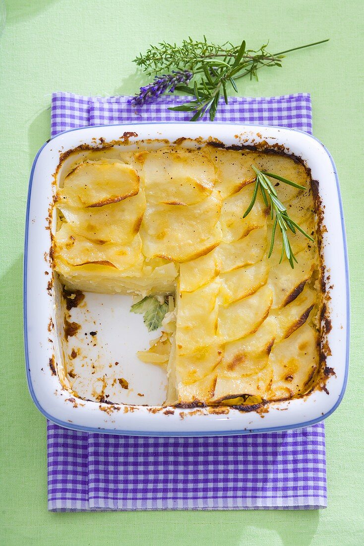 Kartoffelgratin, angeschnitten