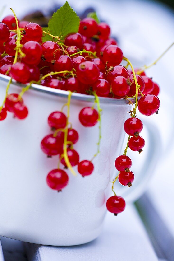 Redcurrants in a mug