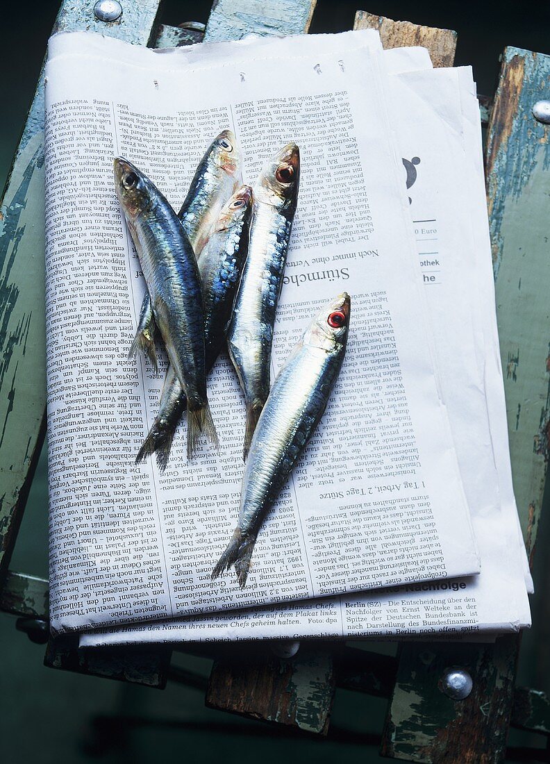 Fresh sardines on newspaper