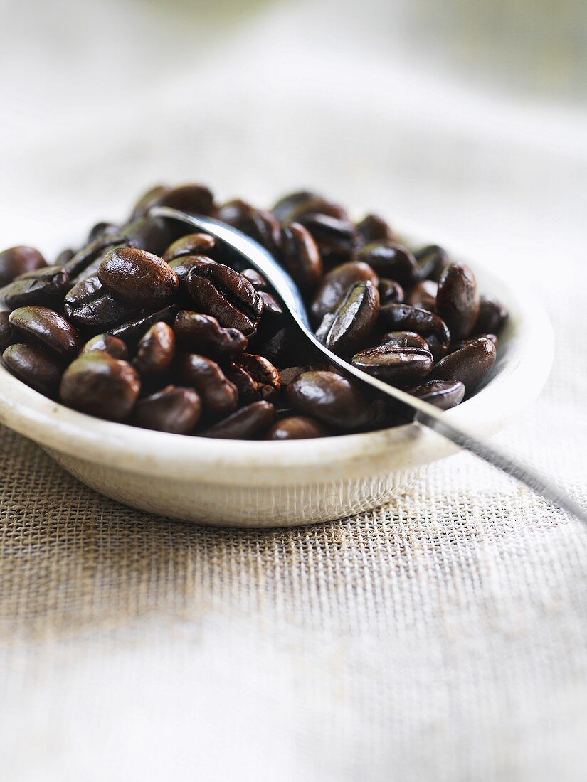 Roasted coffee beans with spoon in a small dish