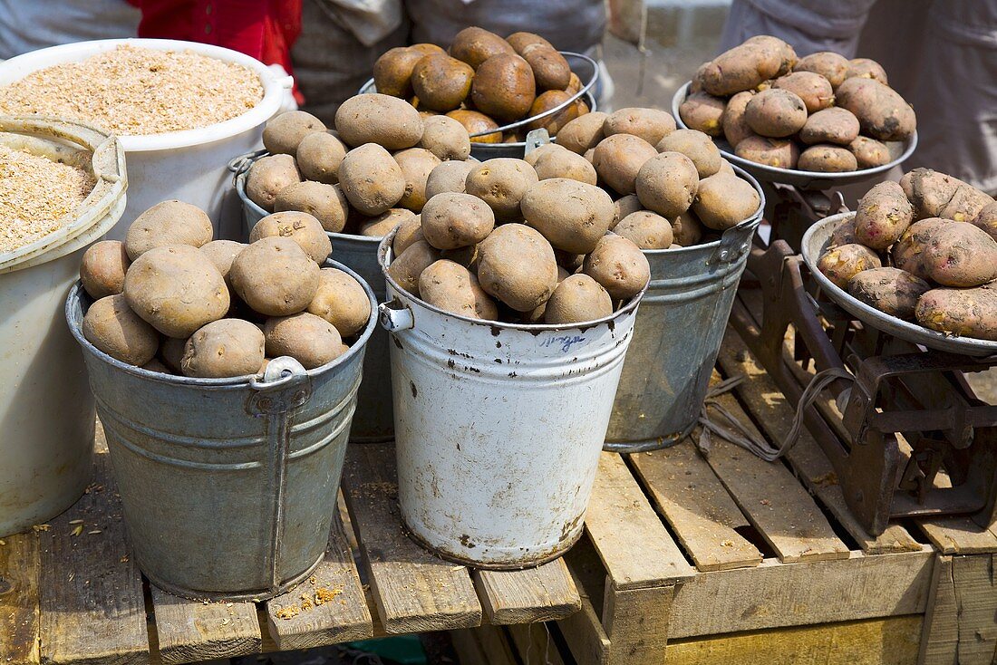 Potatoes in buckets at a market in Ukraine