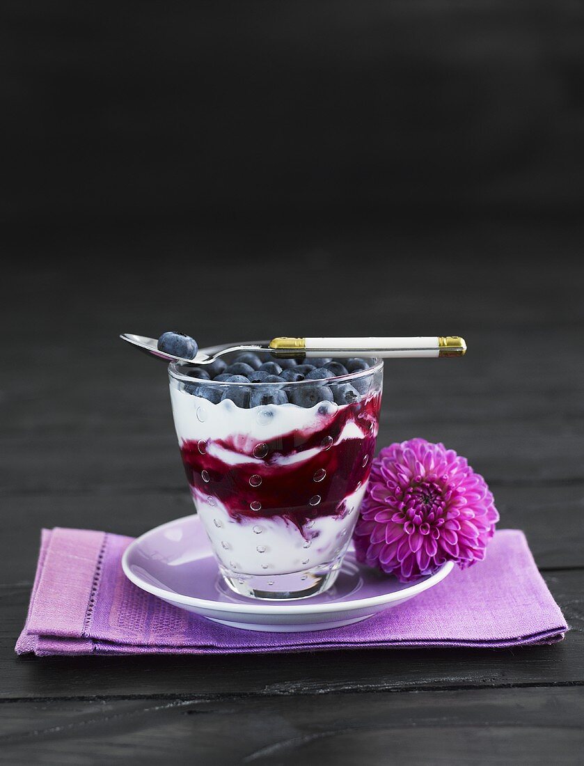 Blueberries with fruit yoghurt on dark background