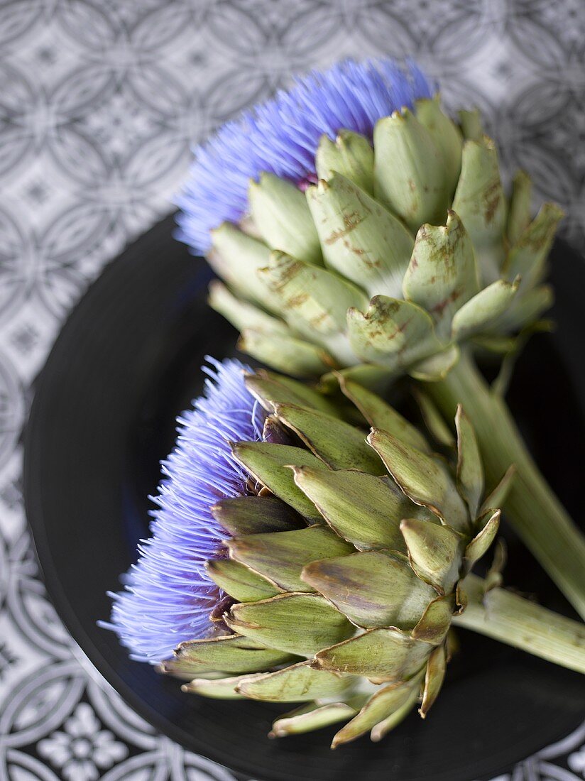 Artichoke flowers on black plate