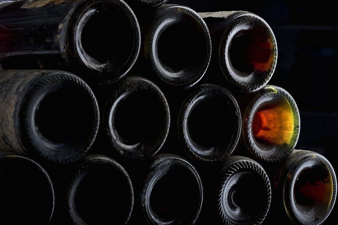Bottles in a wine cellar