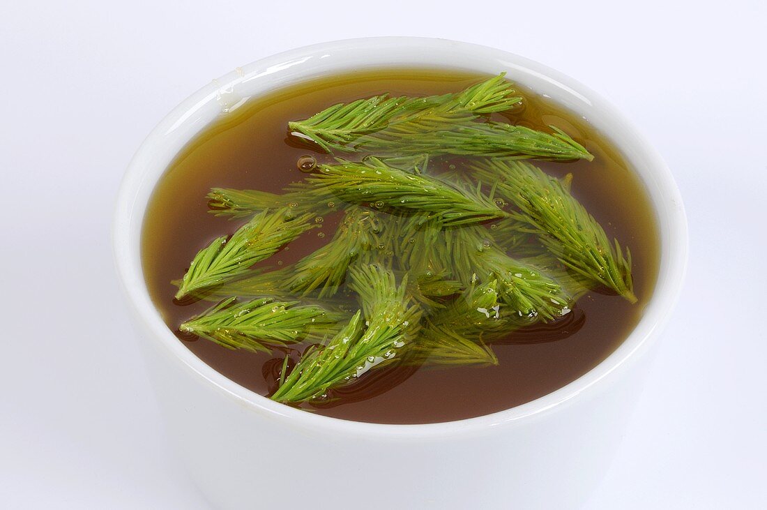 Spruce tip honey (Household remedy for coughs and colds)