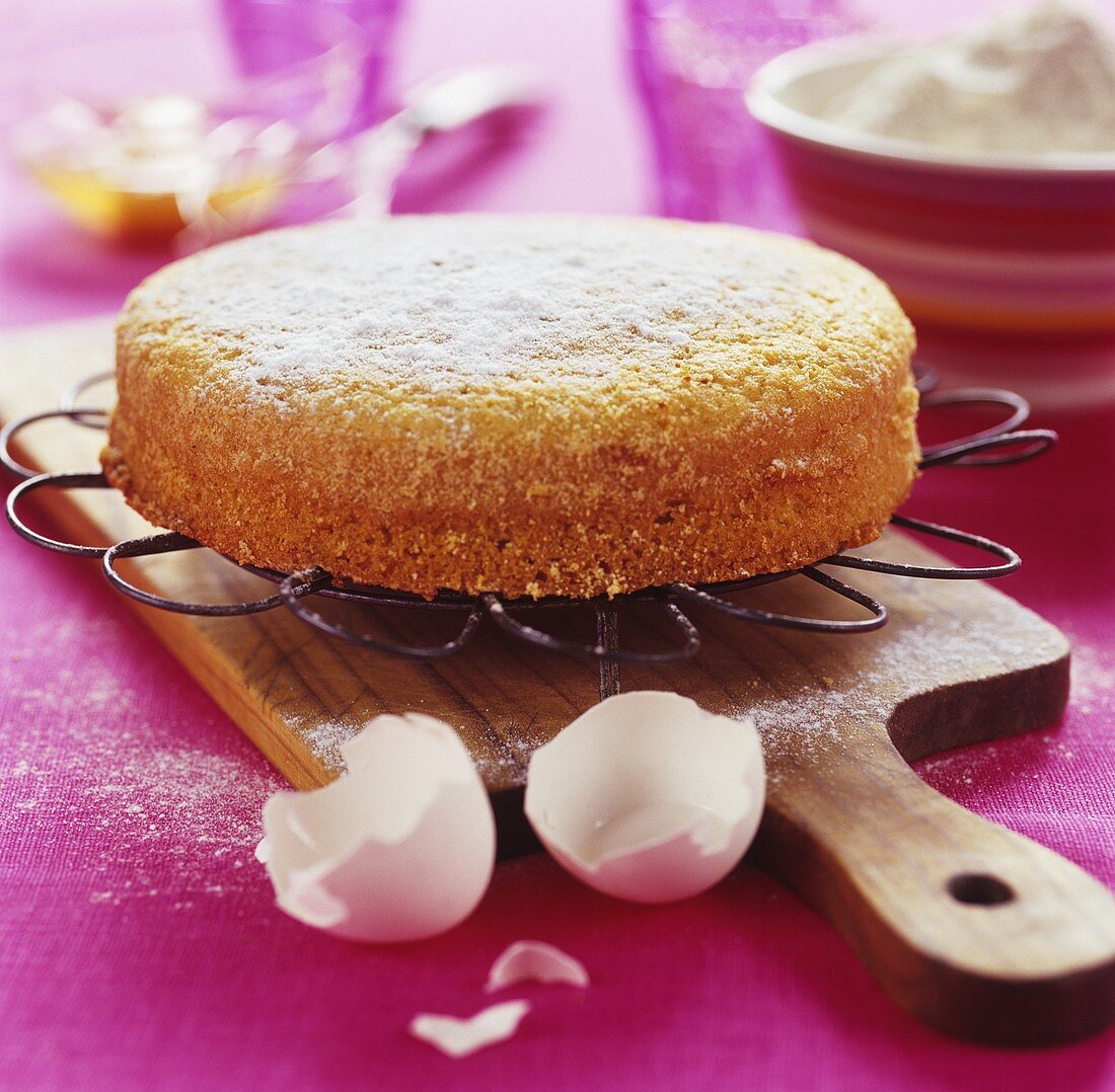 Rührkuchen mit Puderzucker auf Kuchengitter und Eierschalen