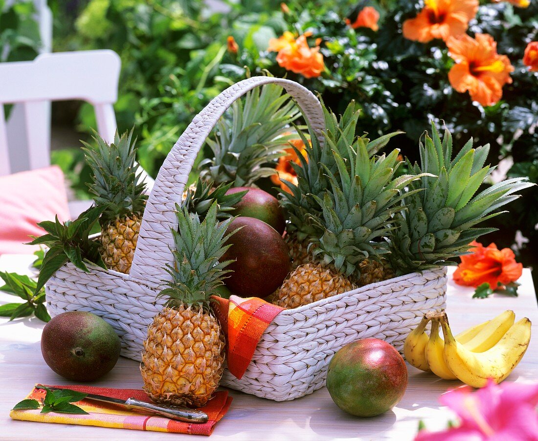 Korb mit Ananas und Mangos, im Hintergrund blühender Hibiskus