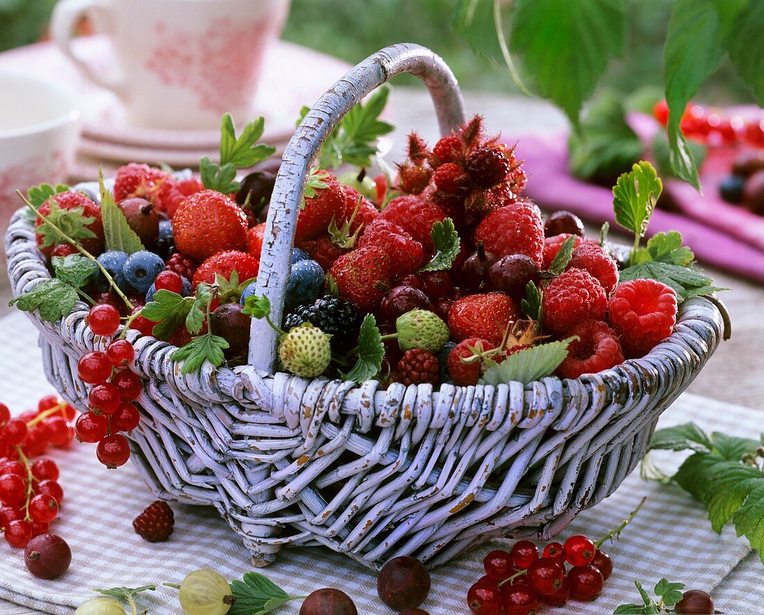 Basket of fresh berries