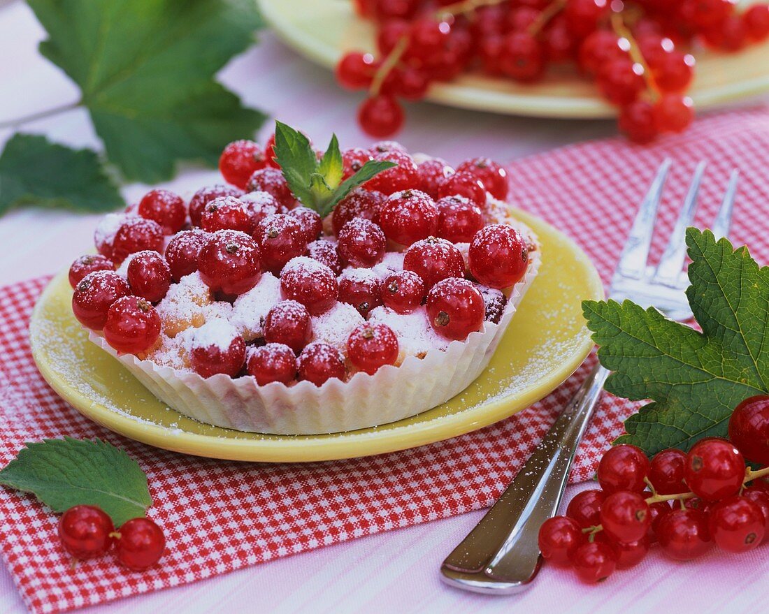 Redcurrant cake