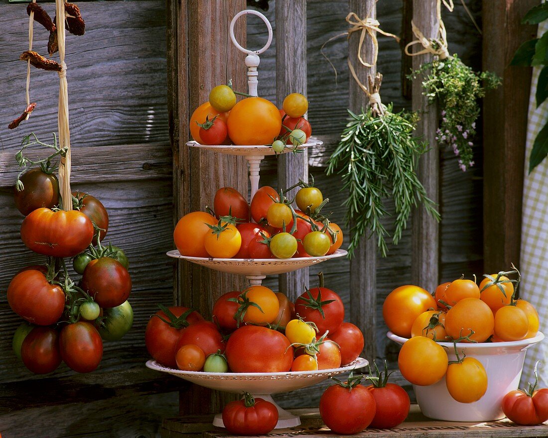 Etagere mit verschiedenen Tomaten