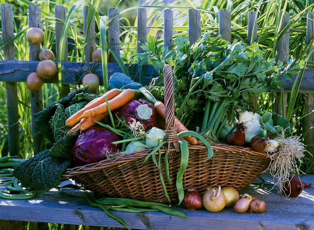 Basket of vegetables (celeriac, red cabbage, carrots etc.)