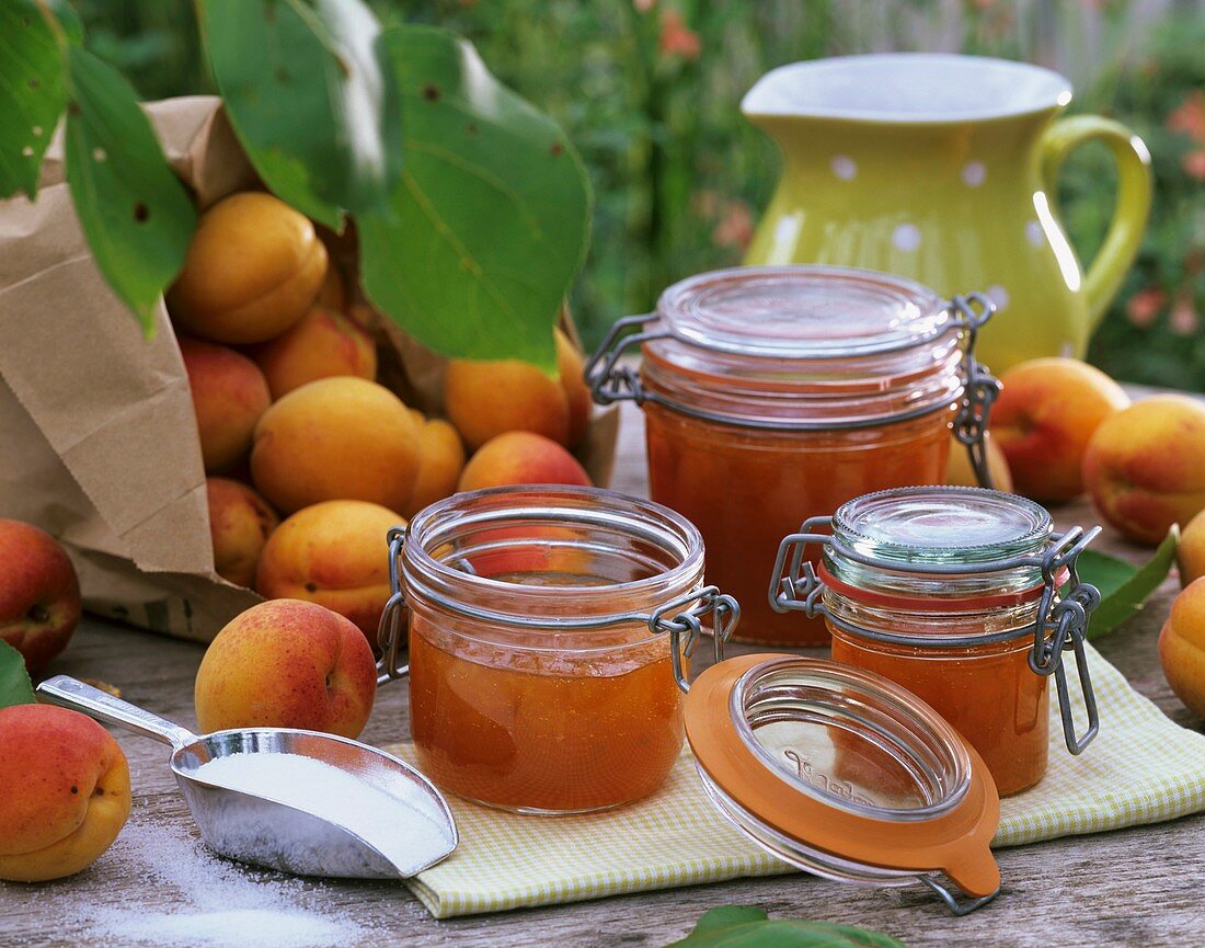 Apricot jam and fresh apricots