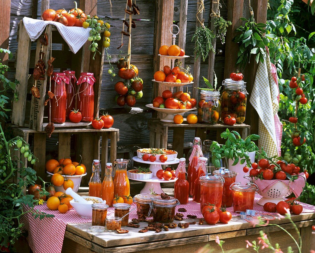 Still life with tomatoes, tomato juice, bottled tomatoes etc.