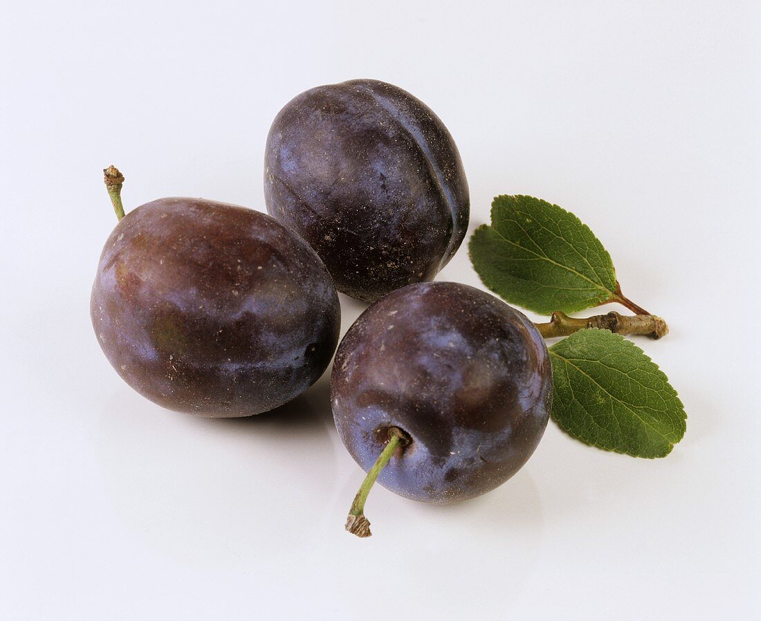 Three purple plums