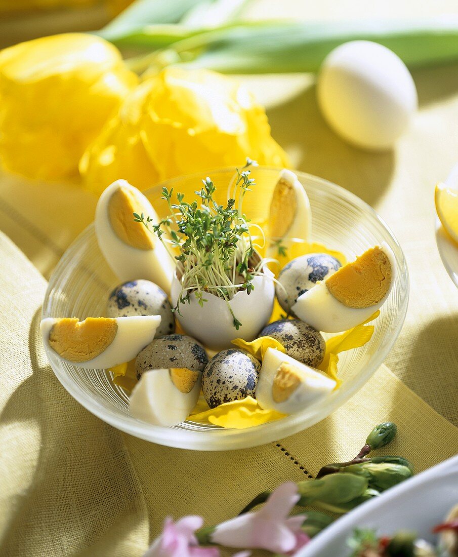 Boiled eggs, cress in eggshell and quails' eggs