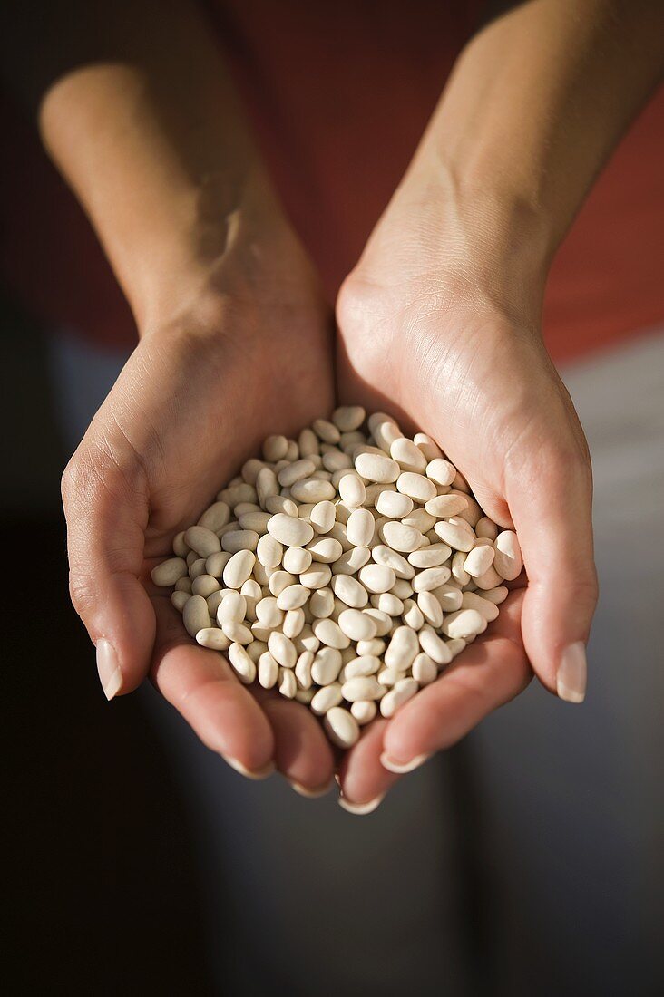 Hands holding white beans