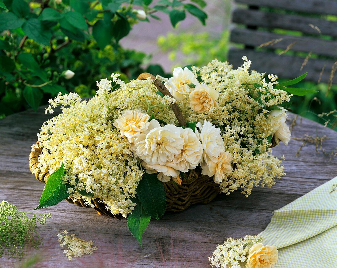 Korb mit Holunderblüten und Rosen