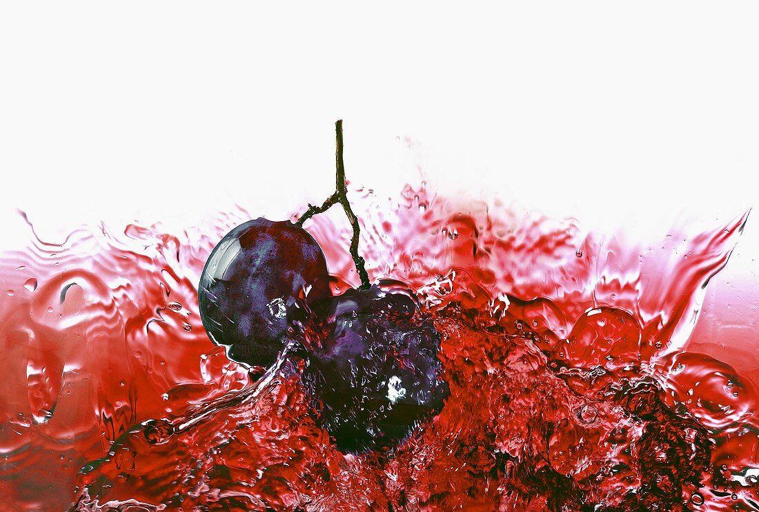 Weintrauben im Rotwein