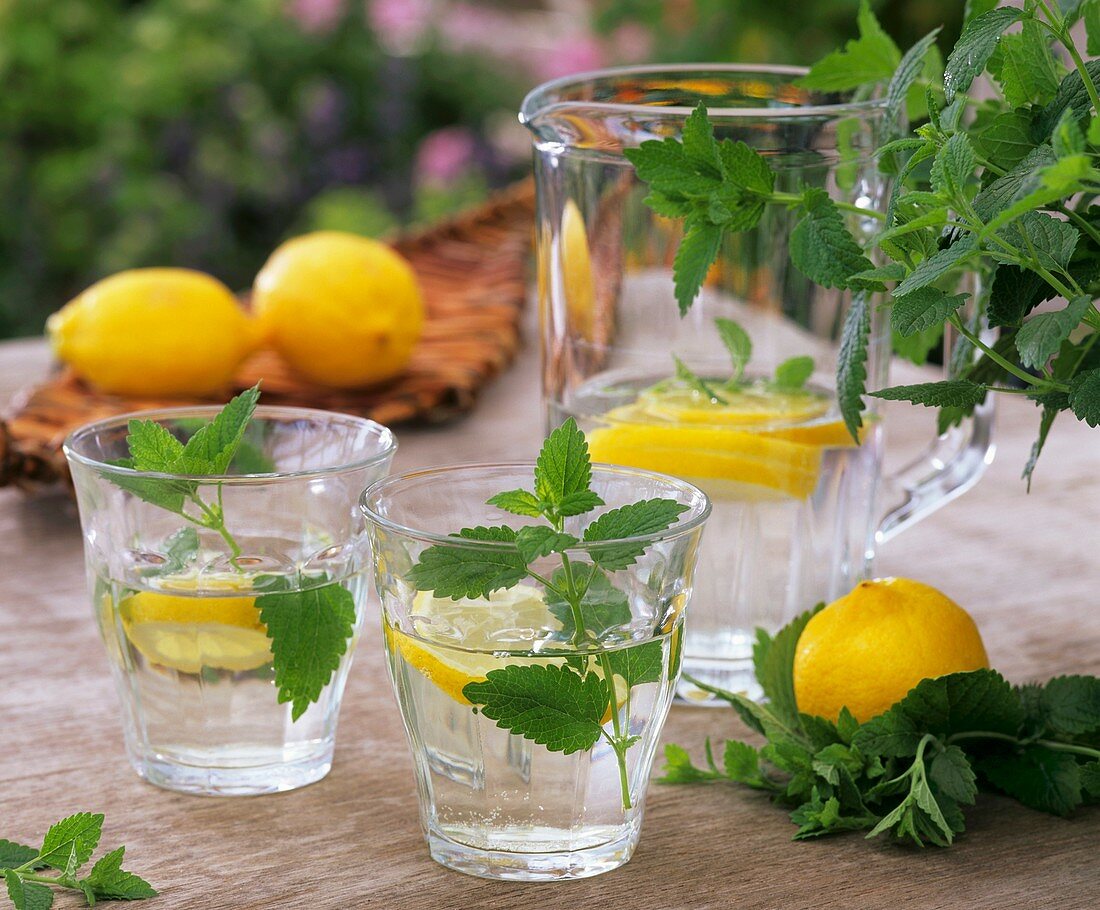 Mineralwasser mit Zitronenmelisse und Zitronenscheiben