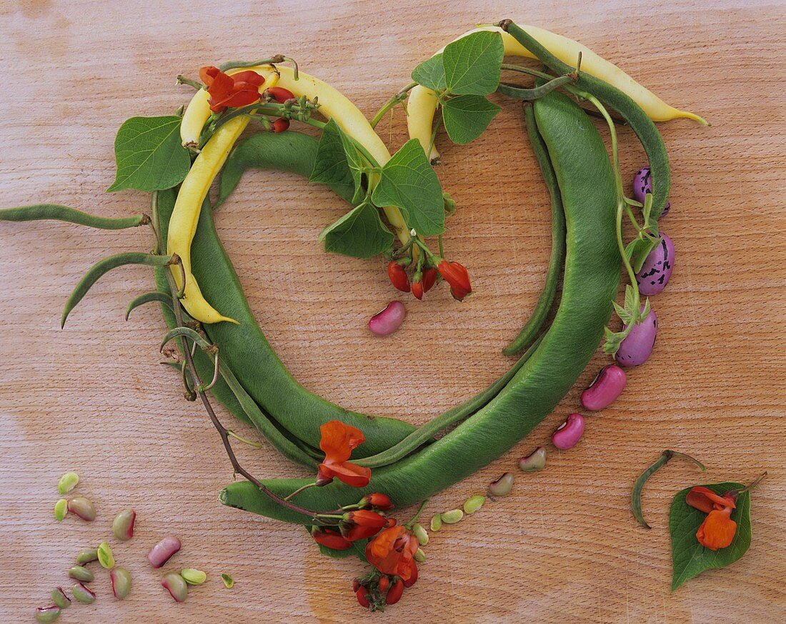 Gelbe und grüne Bohnenschoten mit Blüten zu einem Herz gelegt