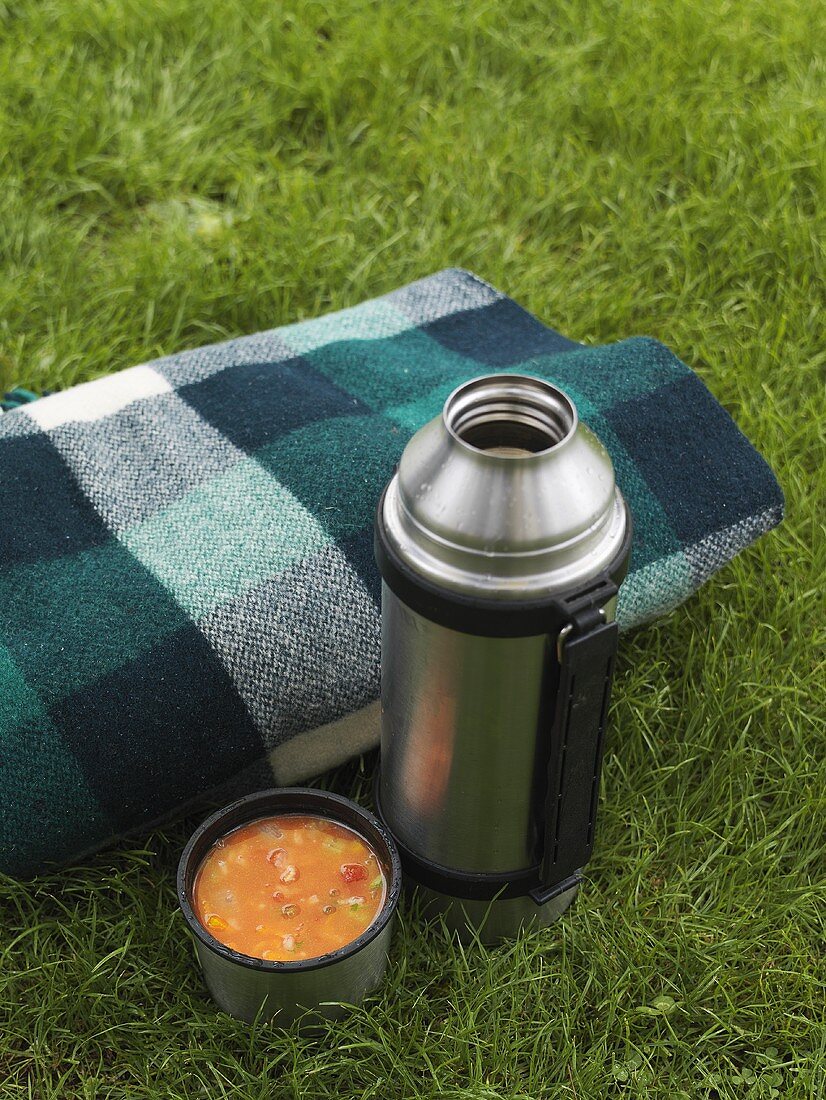 Thermos flask of vegetable soup beside blanket on grass