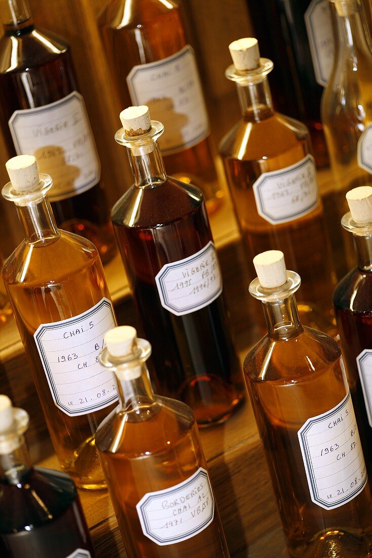 Mehrere Flaschen mit Proben von Martell Cognac