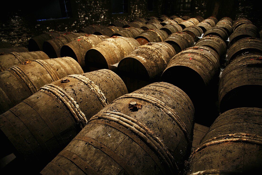 Frapin Cognac maturing in wooden barrels