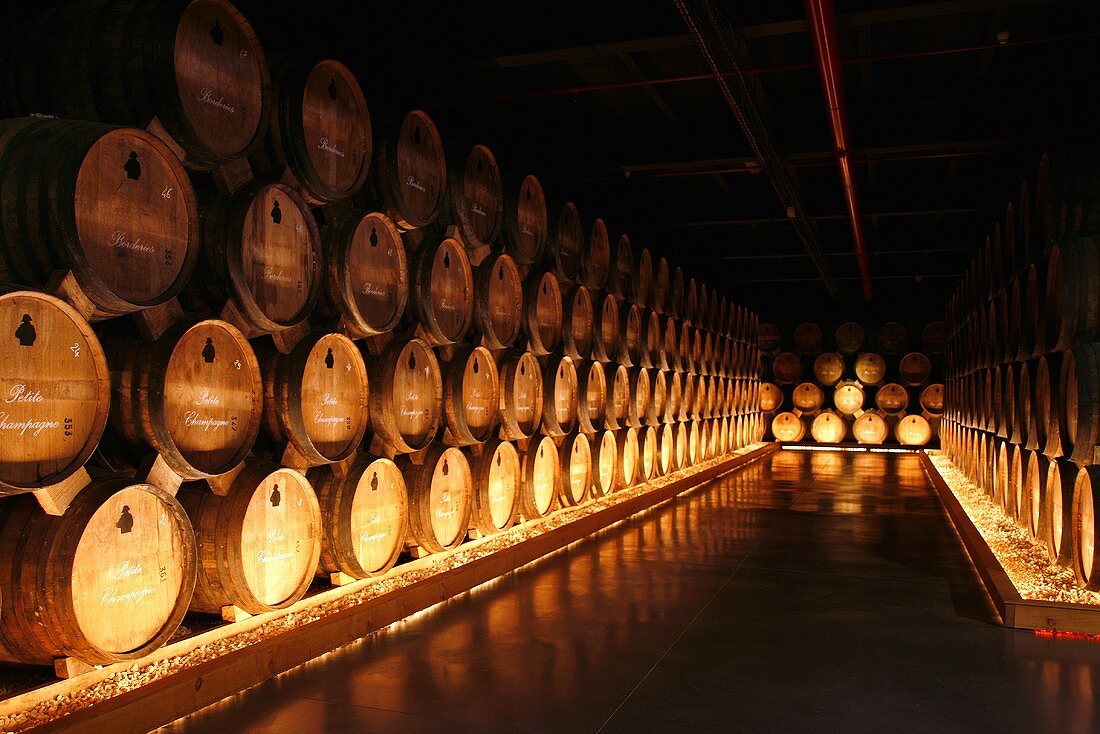 Courvoisier barrel cellar, Jarnac, France