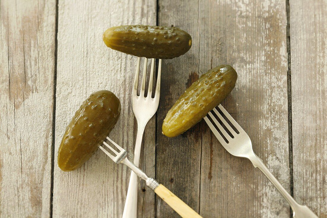 Three pickled gherkins on forks