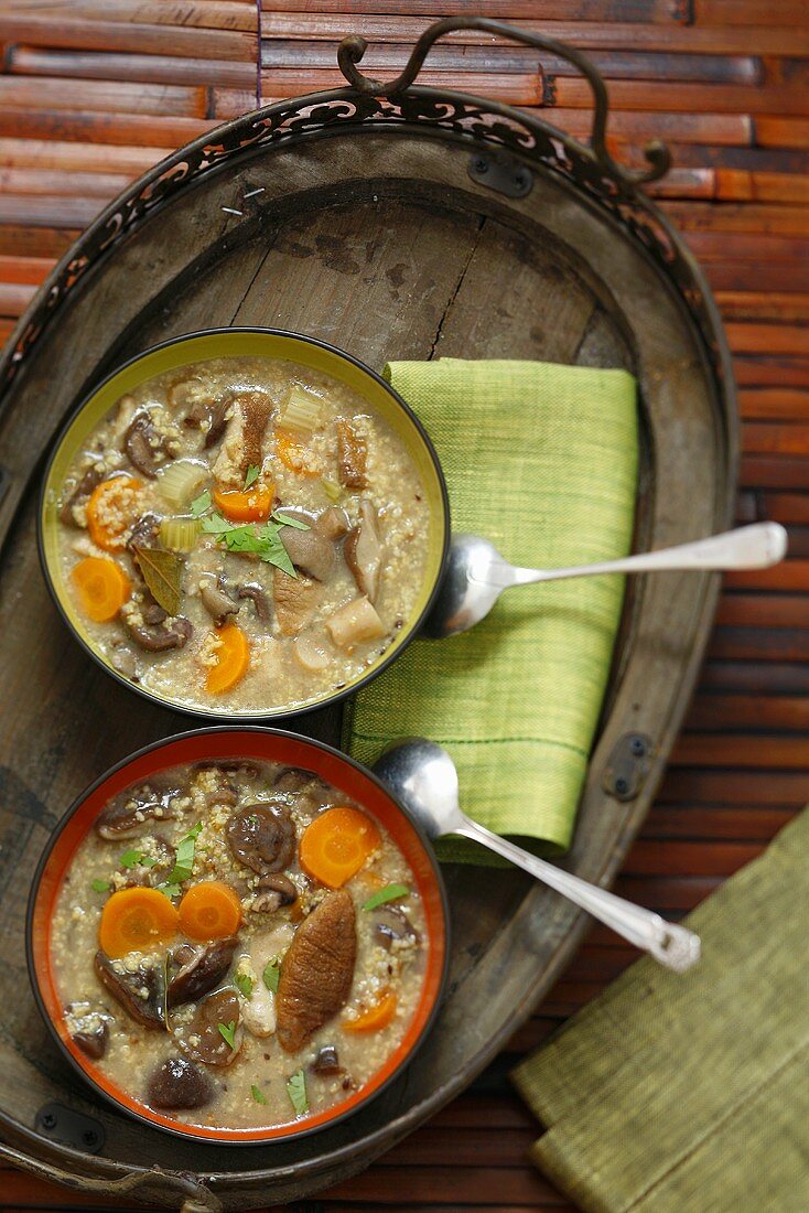 Mushroom soup with carrots and barley