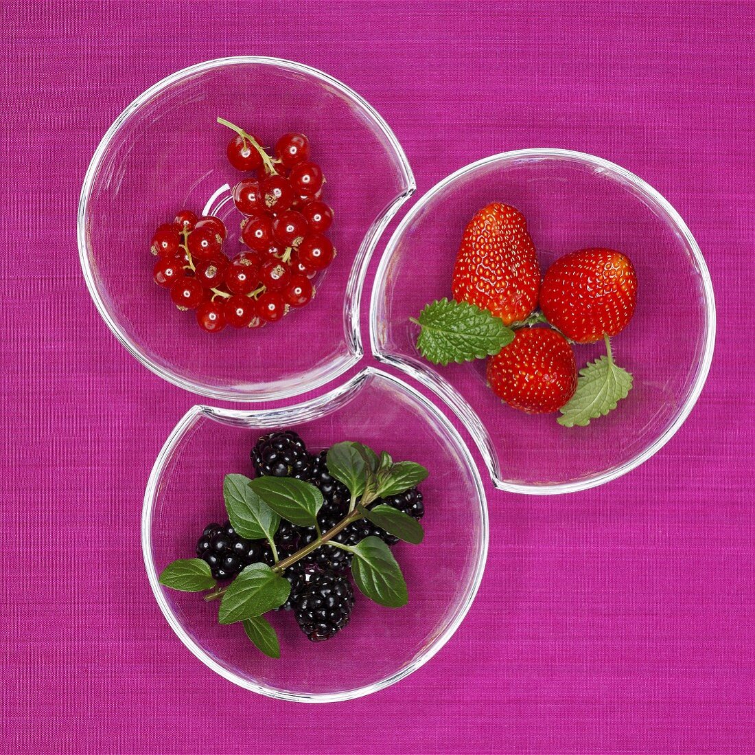 Blackberries, redcurrants and strawberries